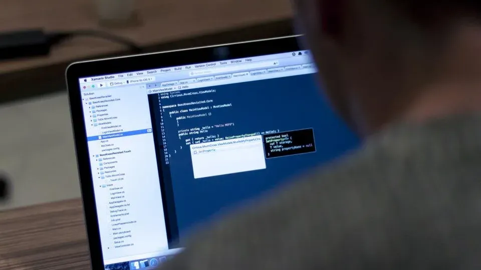 Website Development by CrownCode